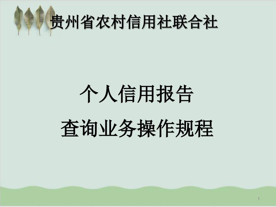 个人信用报告查询业务操作规程指导PPT课件(-22页)_第1页