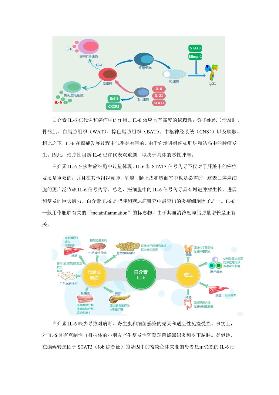 白介素IL-6在疾病方面的研究进展_第2页