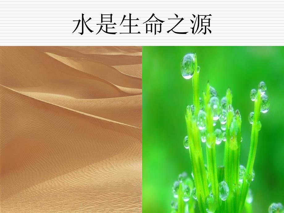 第三章-水分的分析测定课件_第2页