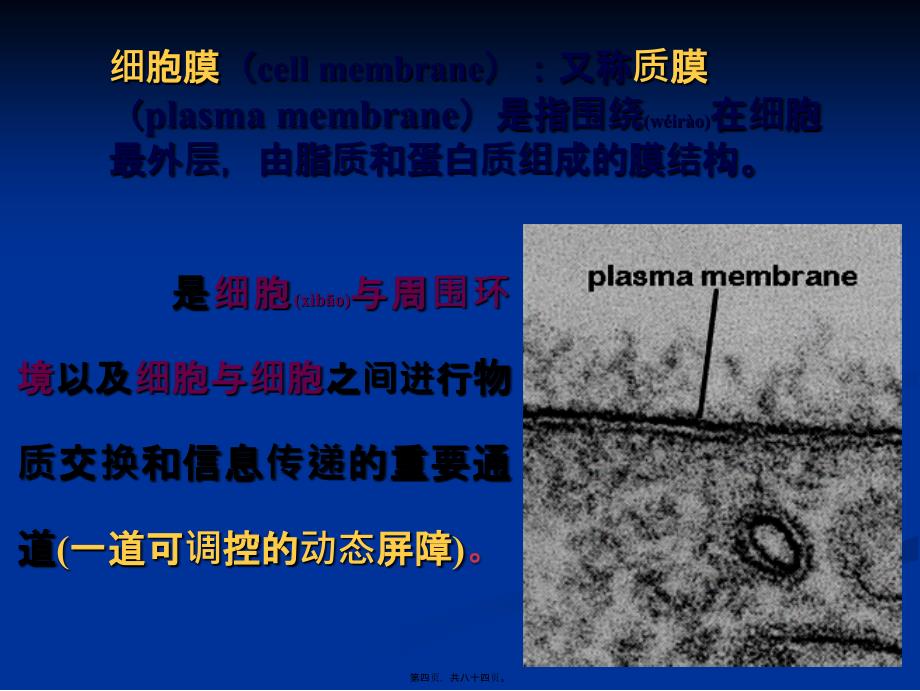 医学专题—第4章细胞膜3137_第4页