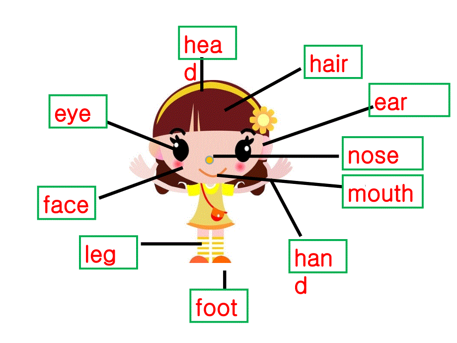 三年级上英语U6touchyourhead课件_第2页