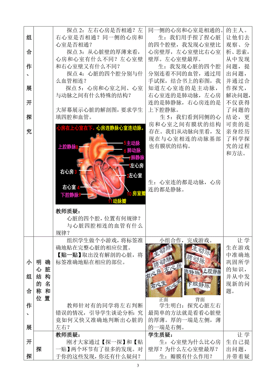 输送血液的泵——心脏_教学设计.doc_第3页