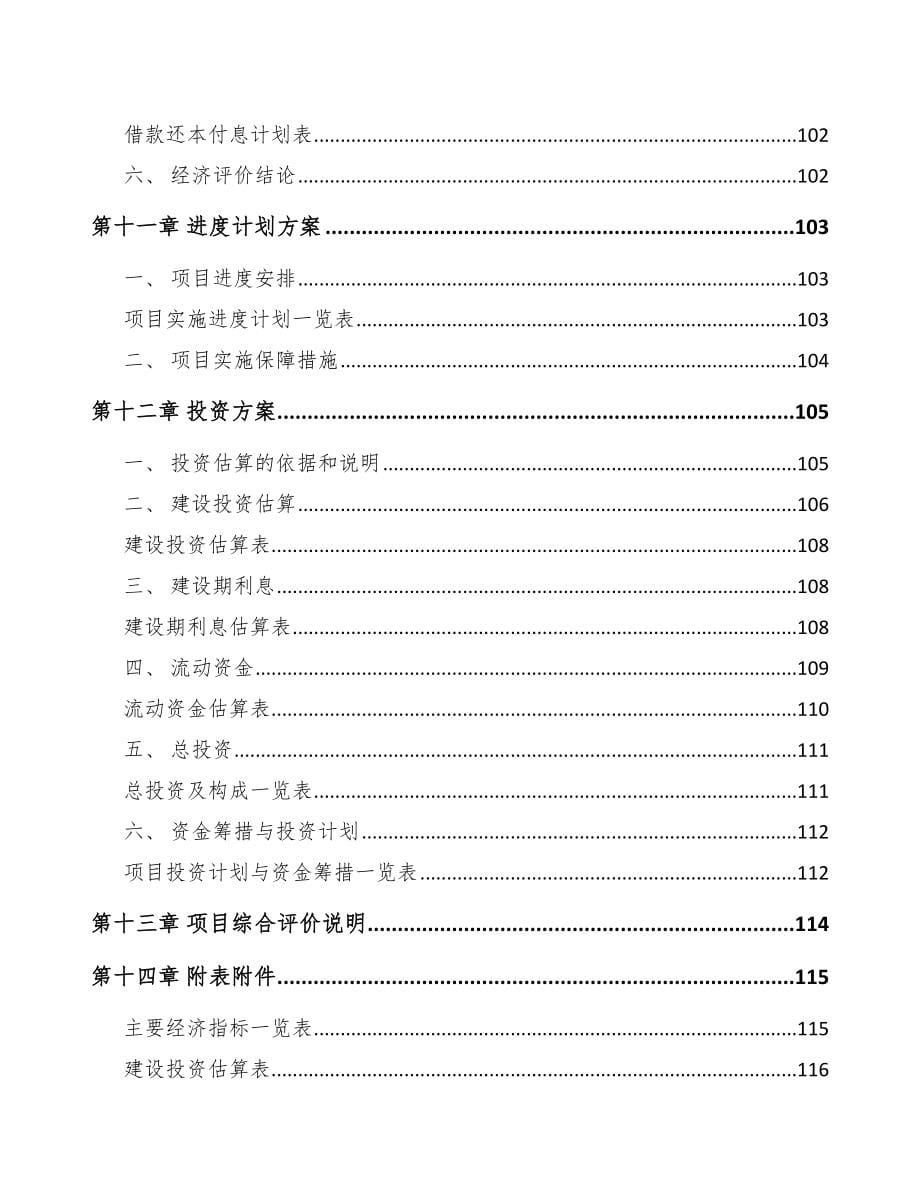 长沙关于成立智能电表公司可行性研究报告_第5页