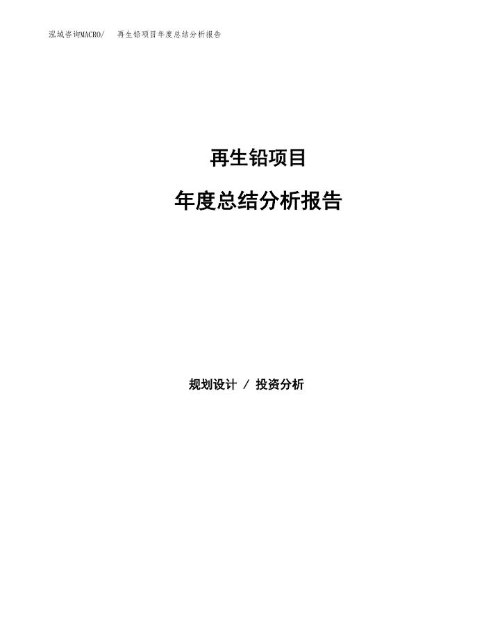再生铅项目年度总结分析报告范文模板.docx
