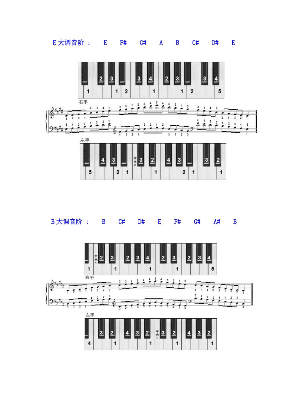 十二个大调的音阶及其左右手的指法图示_第3页