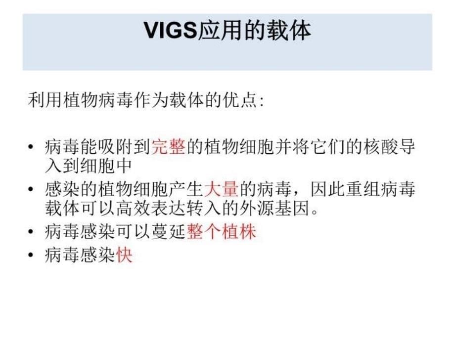 VIG病毒诱导基因沉默技术说课讲解_第5页