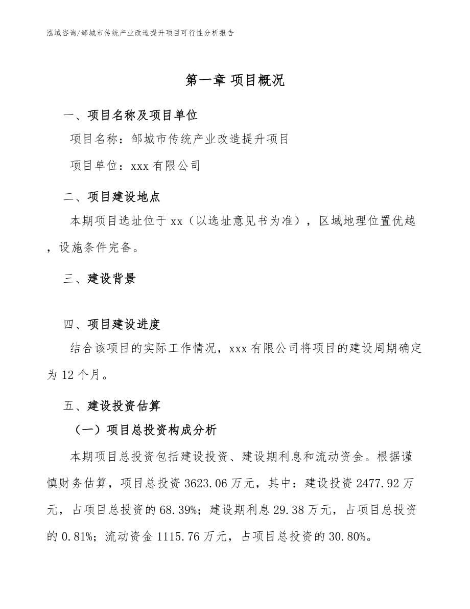 邹城市传统产业改造提升项目可行性分析报告【参考范文】_第5页