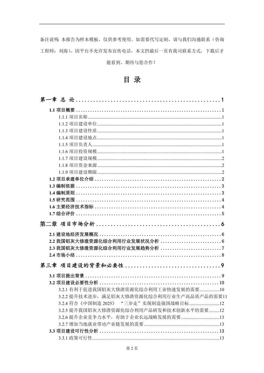 铝灰大修渣资源化综合利用项目可行性研究报告写作模板_第2页