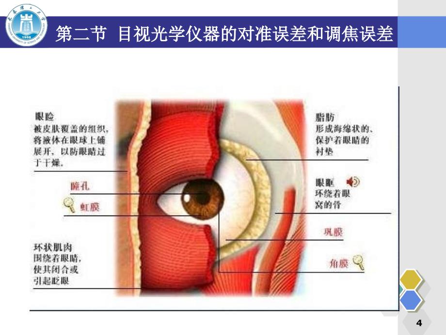 光学测量基础PPT课件_第4页