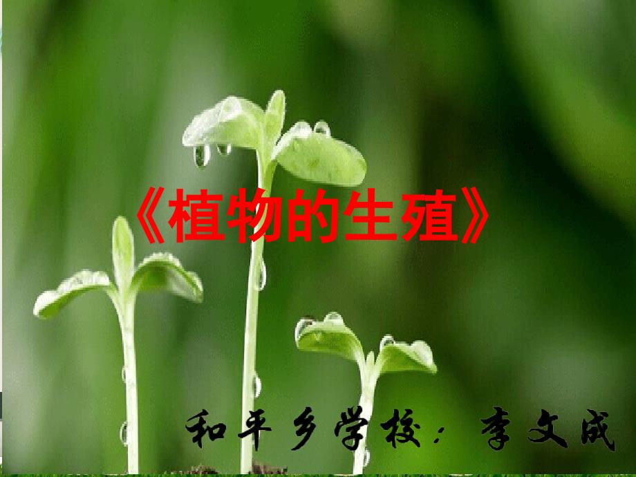 人教版初二八年级生物-植物的生殖-名师教学PPT课件_第1页