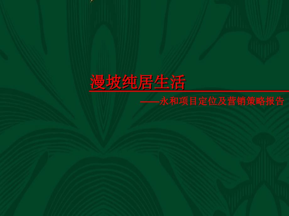 广州永和项目定位及营销策略报告_第1页