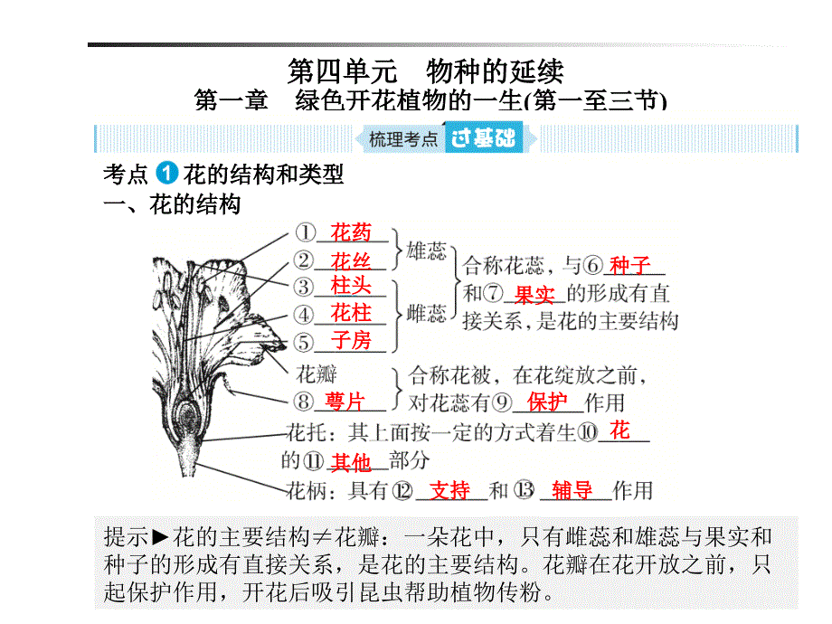 生物第四单元第一章一至三节ppt课件_第1页