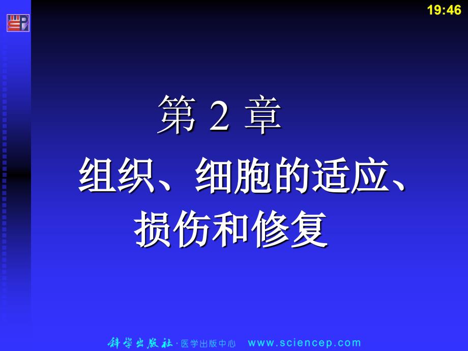 病理学基础病理组织图谱_第2页