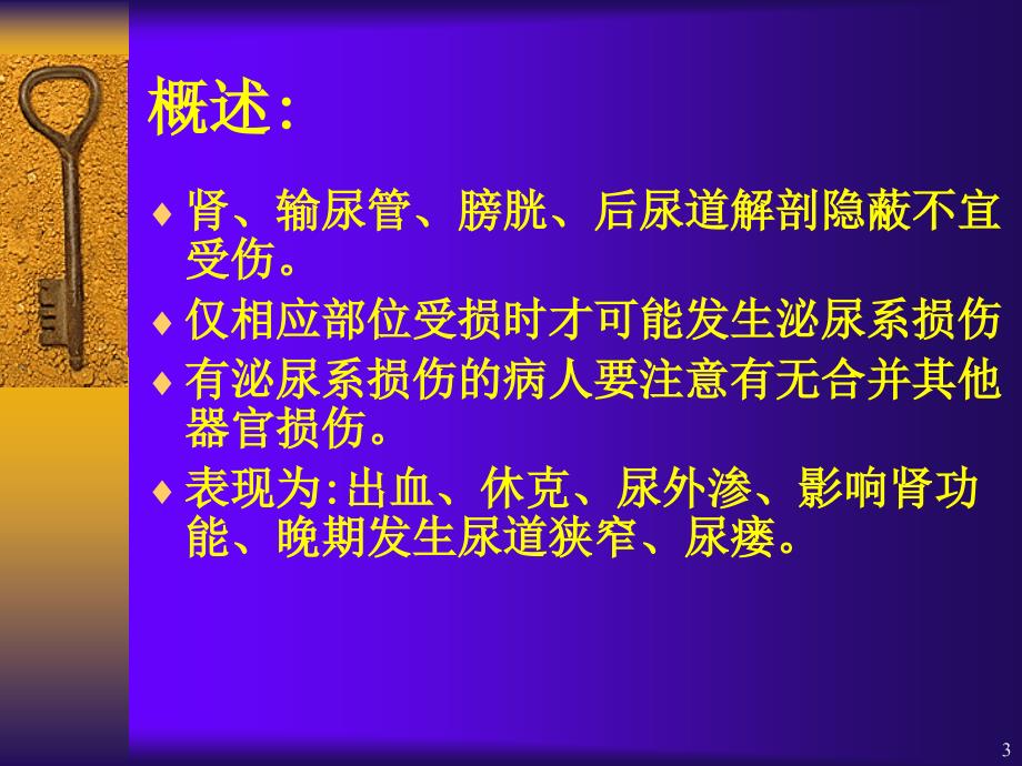 肾膀胱损伤护理ppt课件_第2页