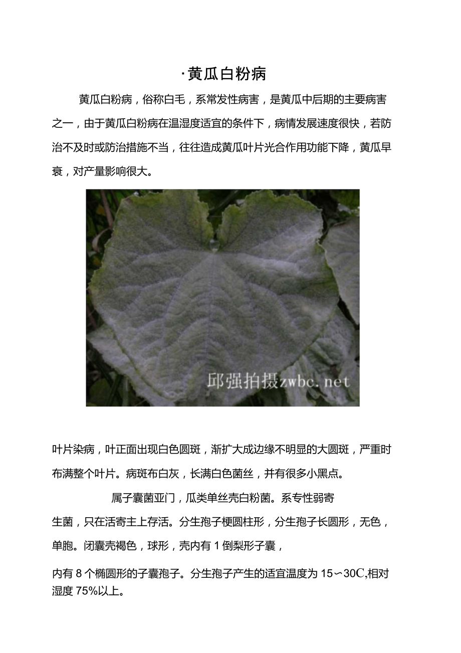 黄瓜病虫害防治图谱大全_第1页