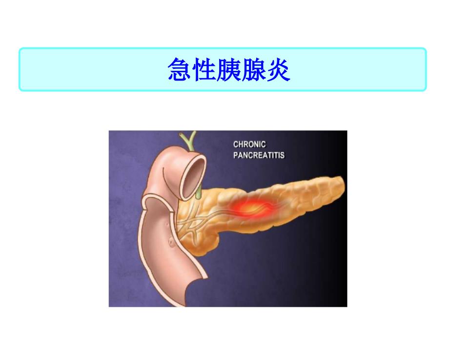 消化系统疾病病人护理课件_第1页