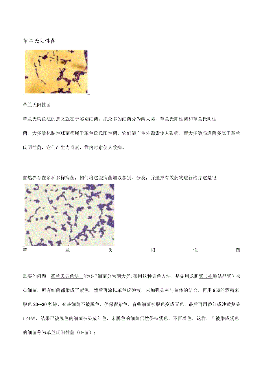 革兰氏阳性菌_第1页