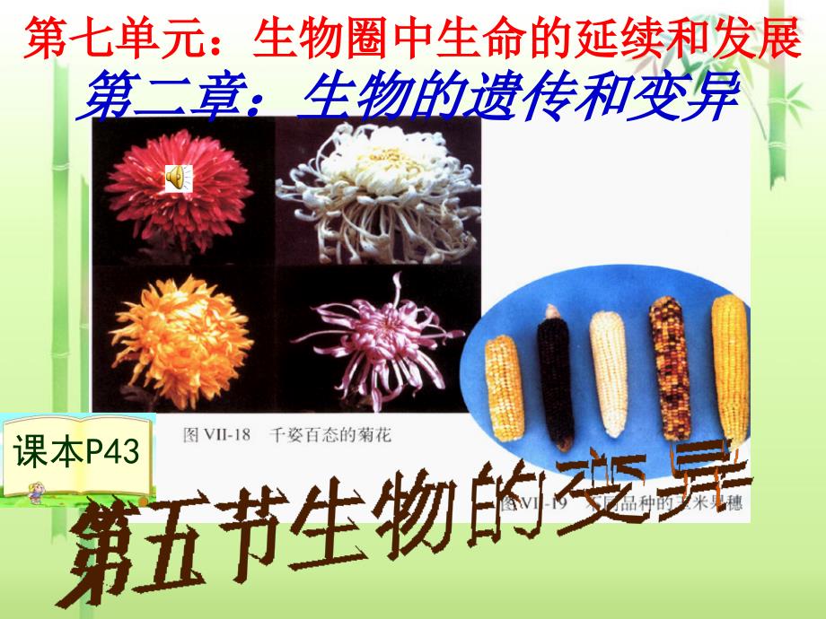 2015第二章第五节生物的变异课件_第1页