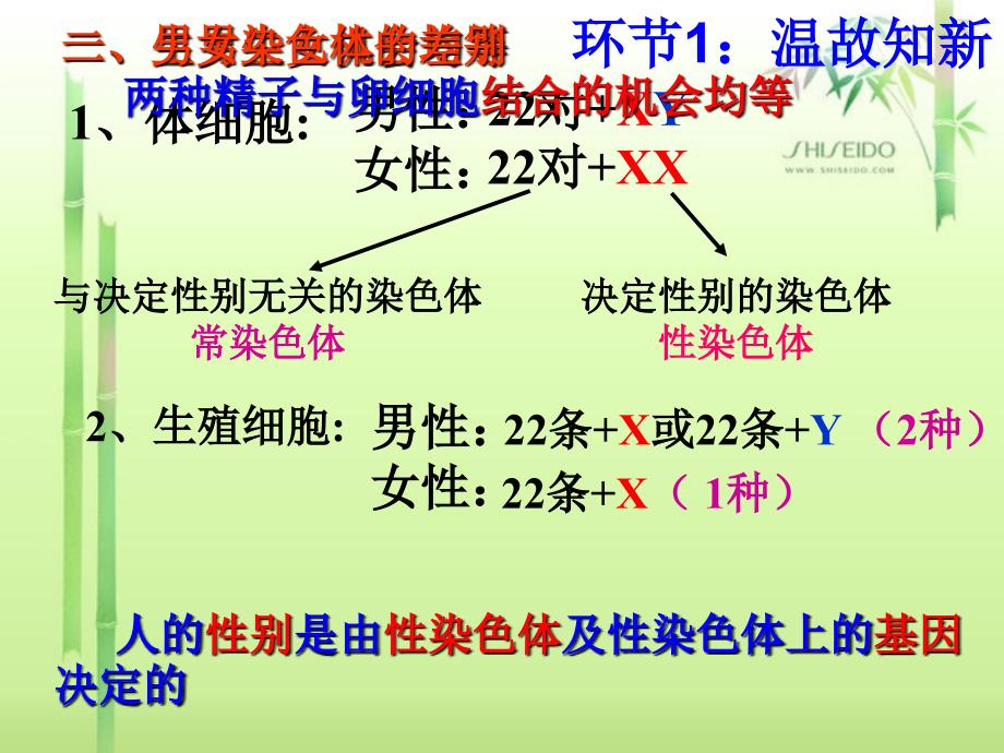 2015第二章第五节生物的变异课件_第3页