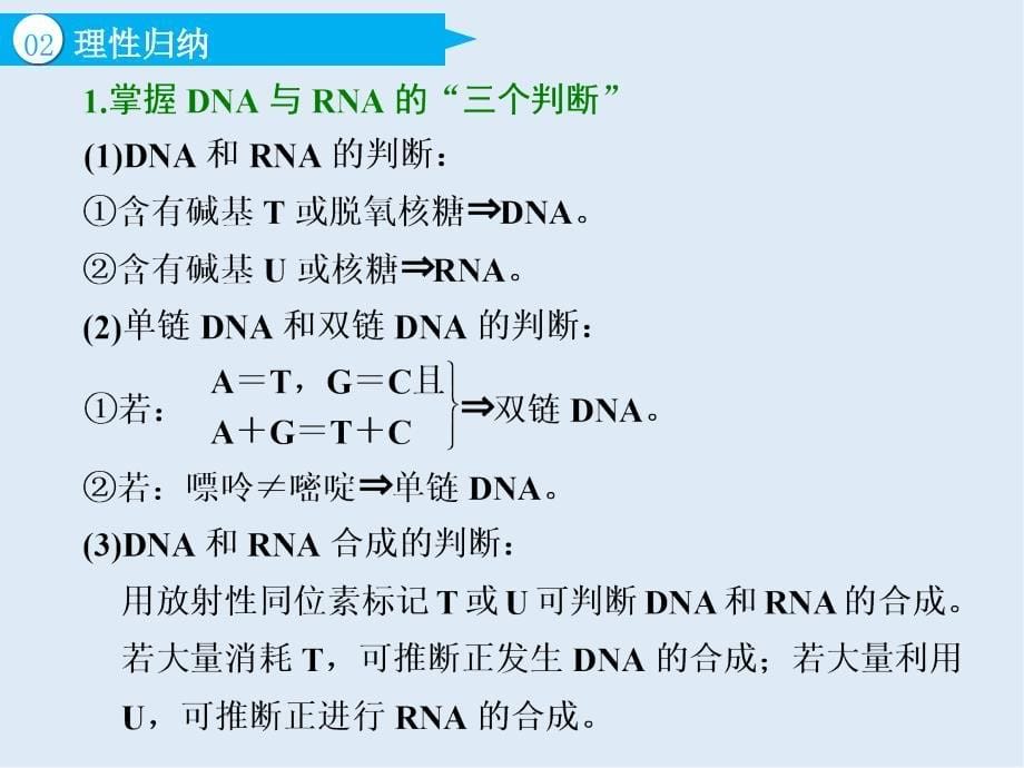 高中新创新一轮复习生物通用版课件：必修2 第二单元 第3讲 基因的表达_第5页