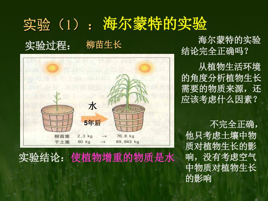 绿色植物的光合作用_第3页