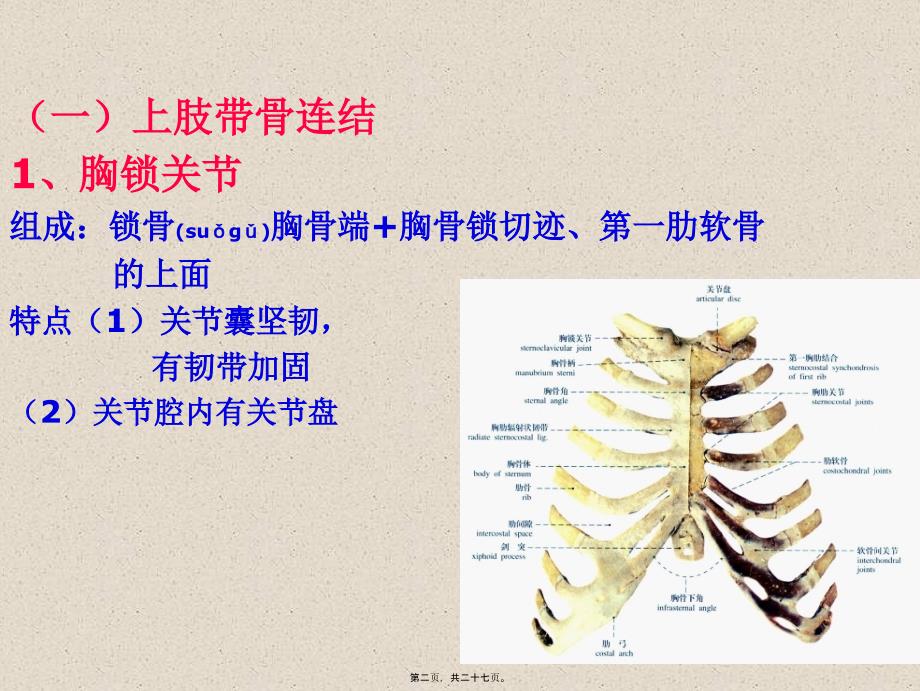 医学专题—四肢骨连结25067_第2页