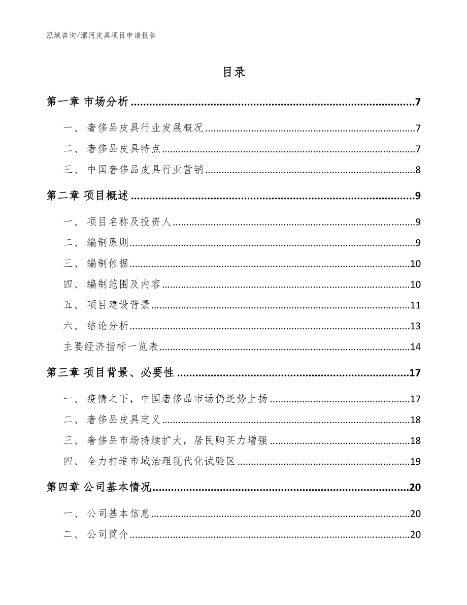 漯河皮具项目申请报告（模板范本）_第1页
