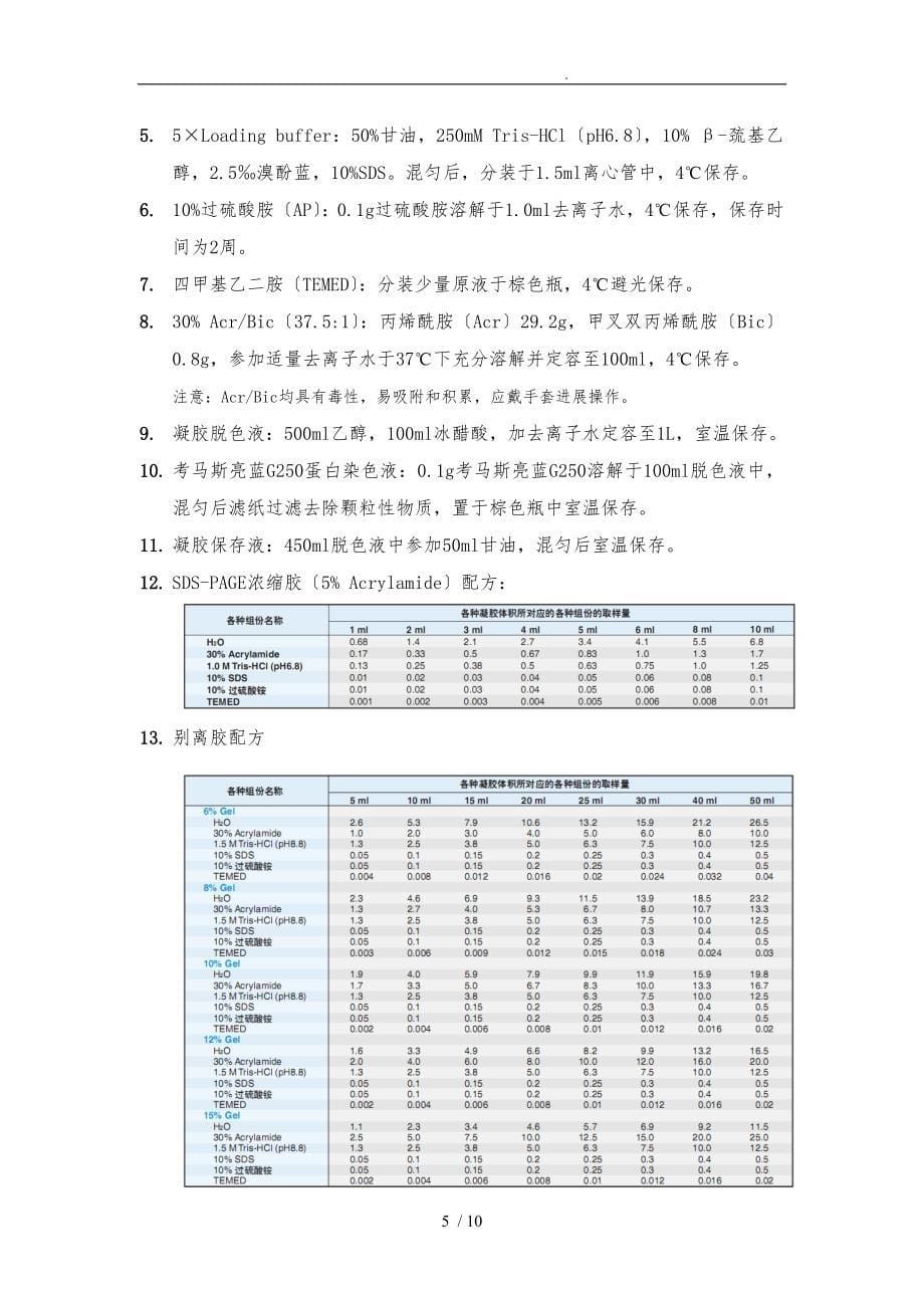 蛋白质的提取与检测_第5页