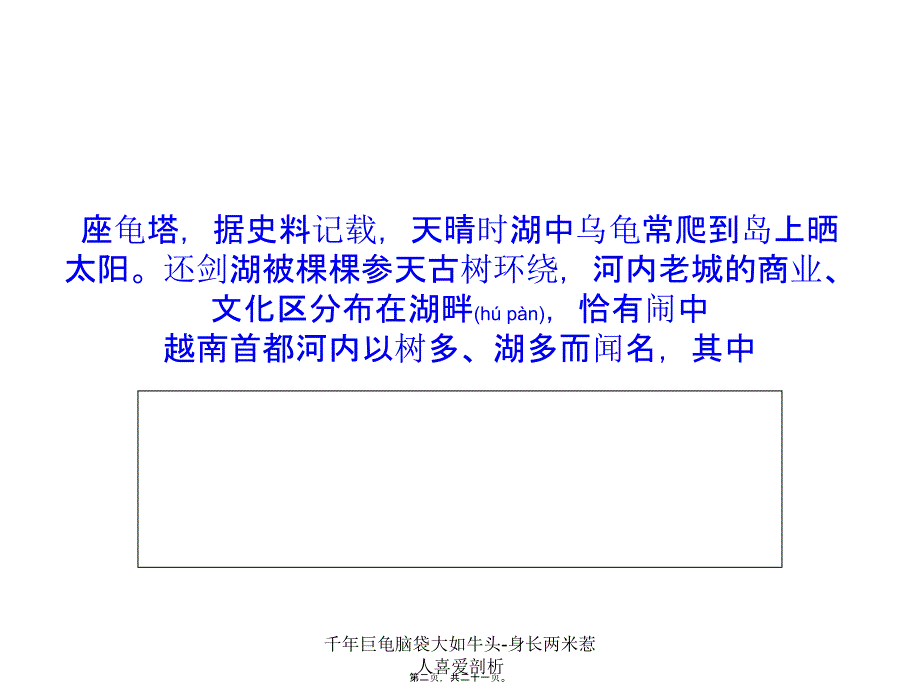 千年巨龟脑袋大如牛头-身长两米惹人喜爱剖析课件_第2页