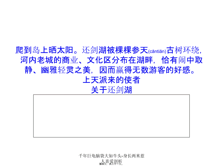 千年巨龟脑袋大如牛头-身长两米惹人喜爱剖析课件_第4页