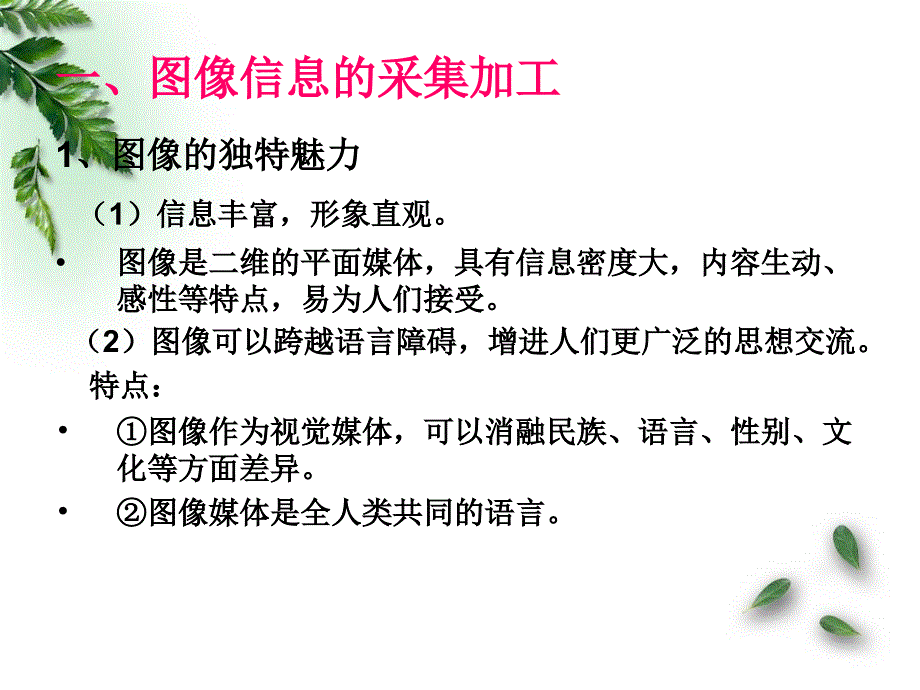 最新图像信息与网络信息采集加工精品课件_第2页