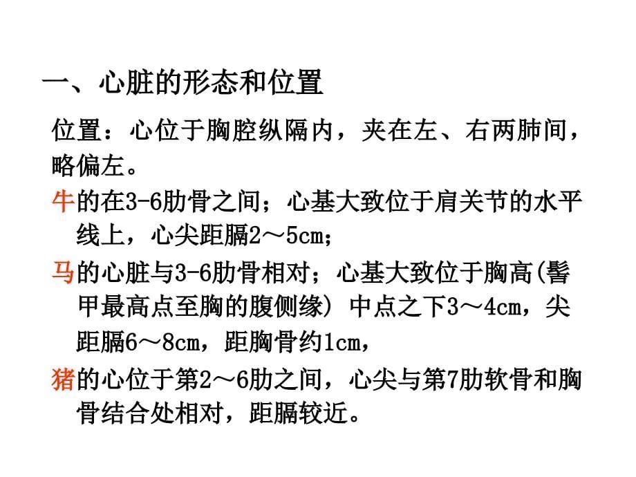 动物解剖学之心血管系统_第5页