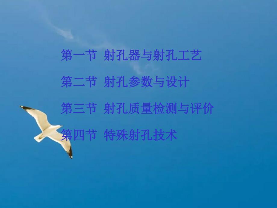 第五章射孔ppt课件_第1页