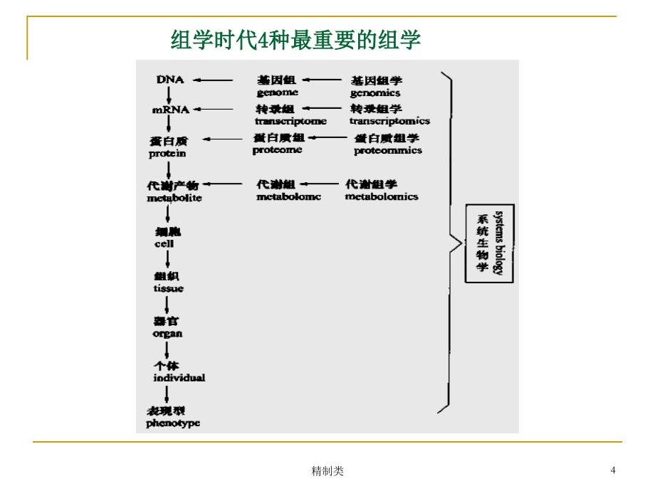 代谢组学-详细（精制医学）_第4页