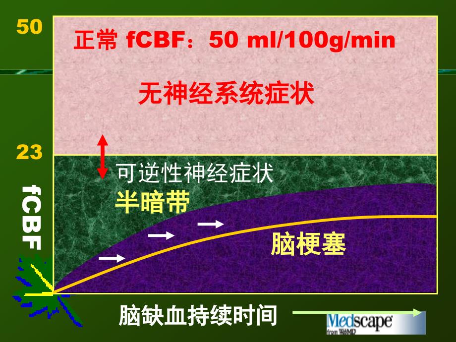 rtpa静脉溶栓_第3页