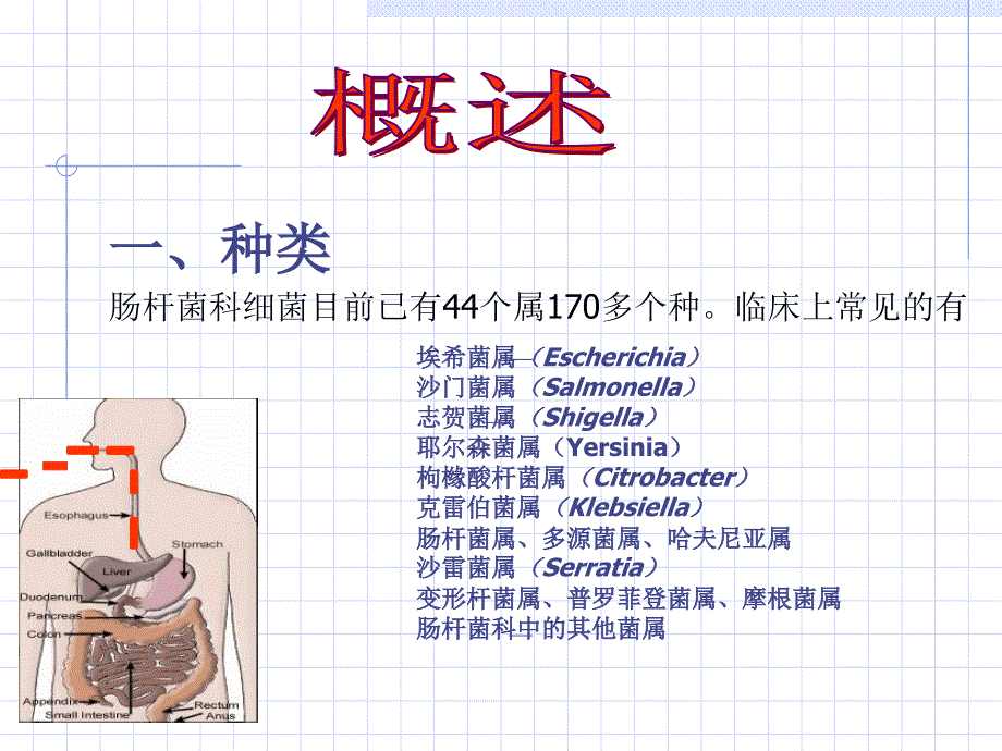 海医第10章肠杆菌科_第2页