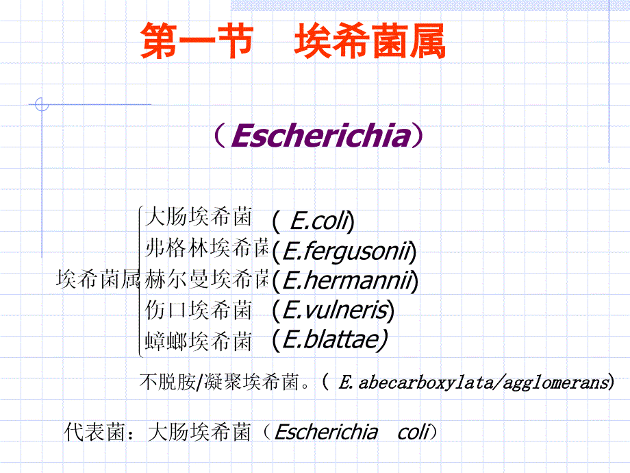 海医第10章肠杆菌科_第3页