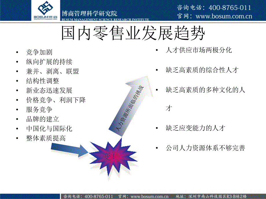 人力资源管理咨询_第3页