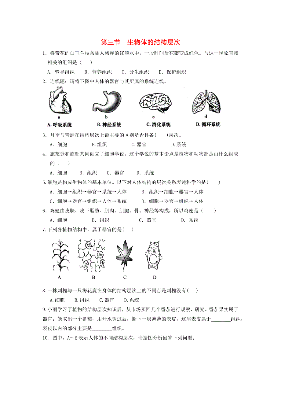 精选类202x七年级生物上册第一单元第二章观察生物结构第三节生物体的结构层次练习题无答案济南版_第1页