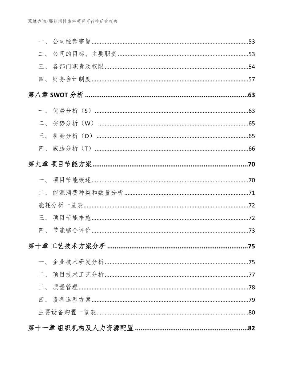 鄂州活性染料项目可行性研究报告【模板】_第5页
