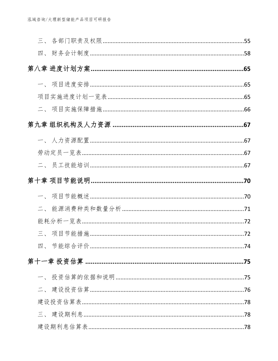 大理新型储能产品项目可研报告【模板范本】_第4页