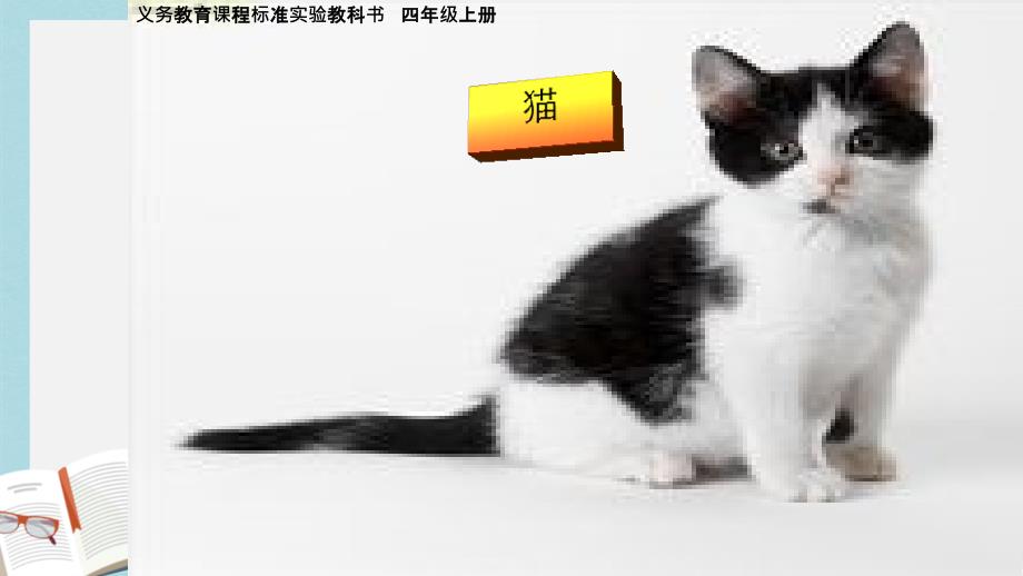 人教版四年级语文上册15《猫》课件_第1页