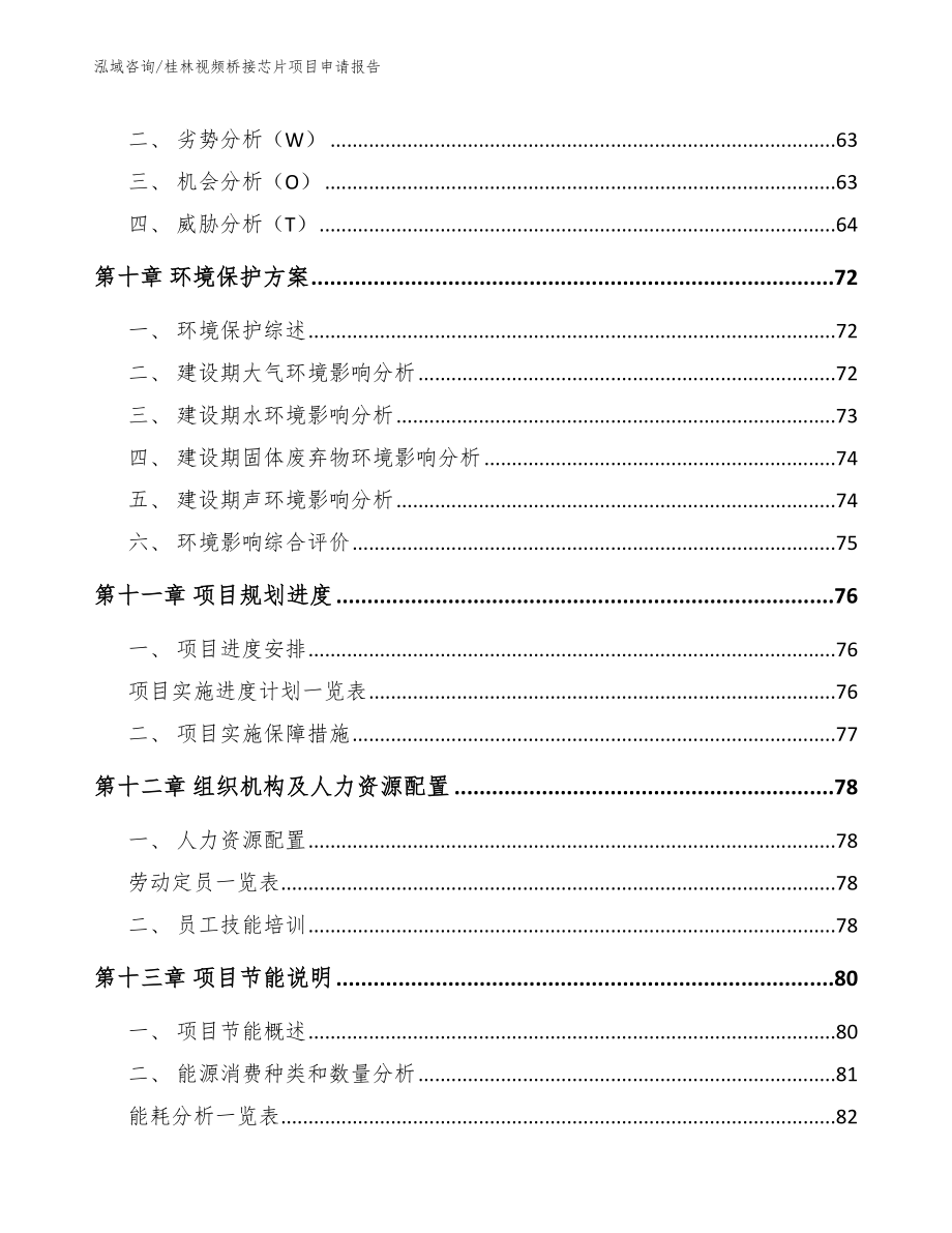 桂林视频桥接芯片项目申请报告【范文】_第4页