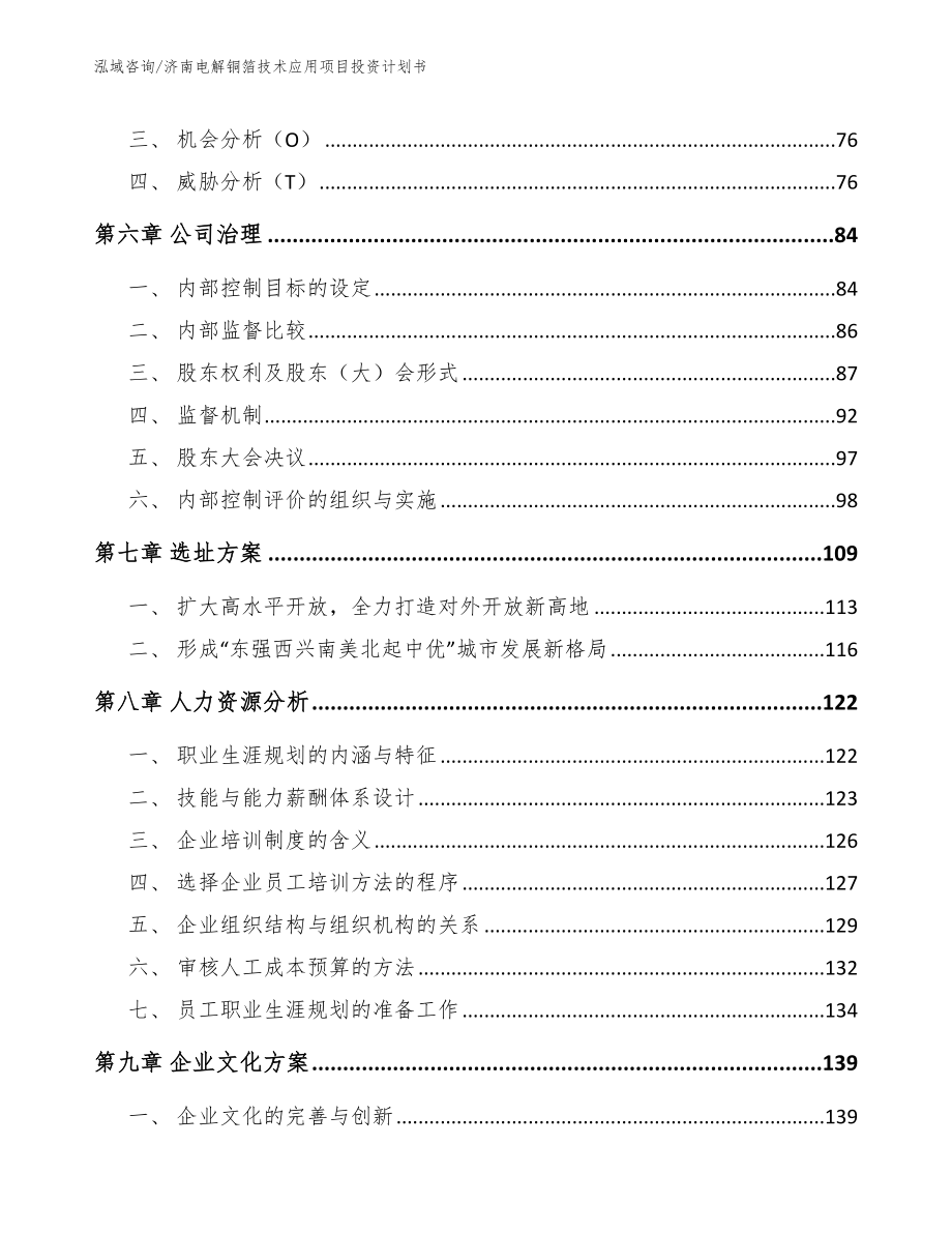 济南电解铜箔技术应用项目投资计划书（范文模板）_第4页