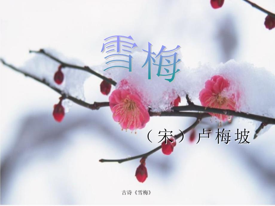 最新古诗雪梅_第1页