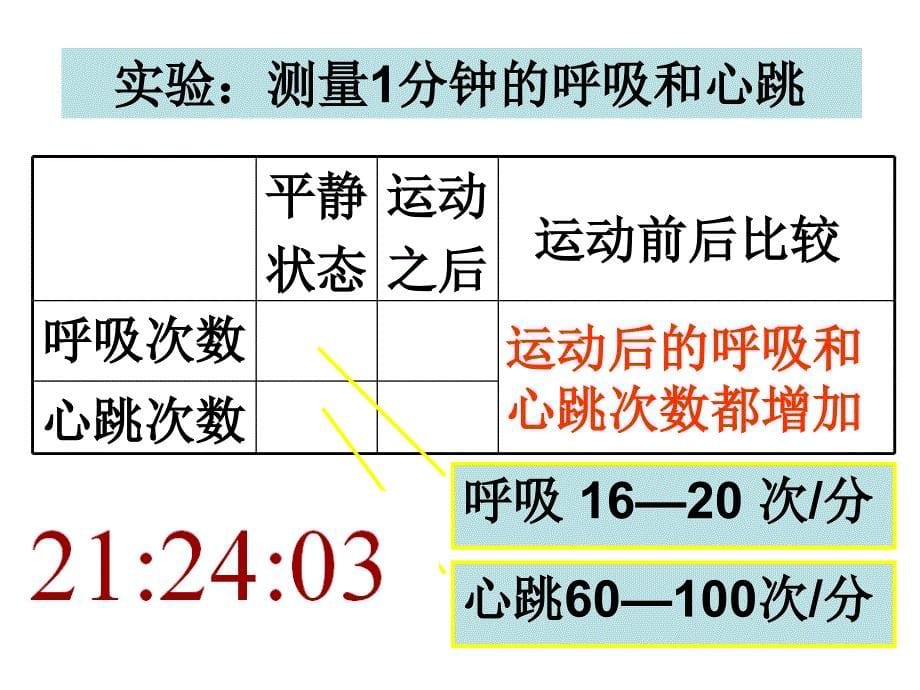 教科版四年级上册第四单元第3课_第5页