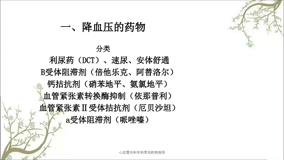 心血管内科专科常用药物指导_第2页