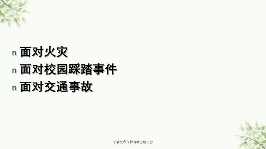 珍爱生命保护自我主题班会课件_第3页