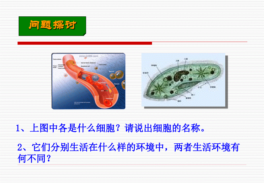 细胞生活的环境课件ppt_第4页