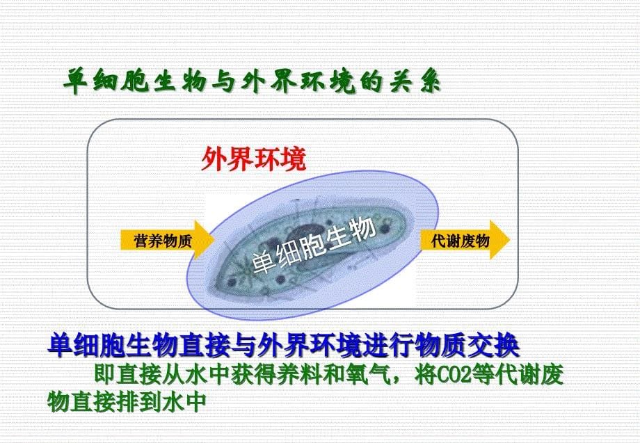 细胞生活的环境课件ppt_第5页